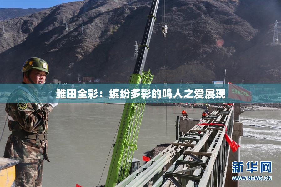 雏田全彩：缤纷多彩的鸣人之爱展现