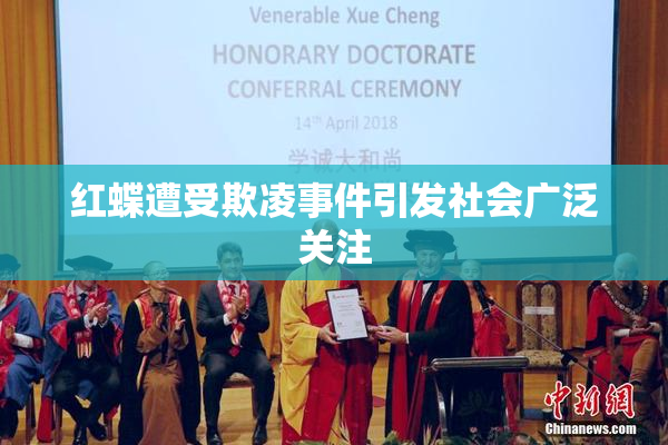 红蝶遭受欺凌事件引发社会广泛关注