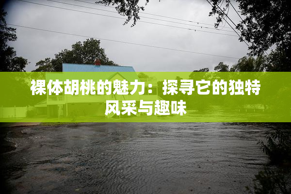 裸体胡桃的魅力：探寻它的独特风采与趣味