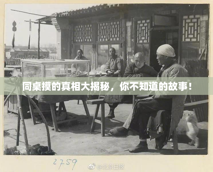 同桌摸的真相大揭秘，你不知道的故事！
