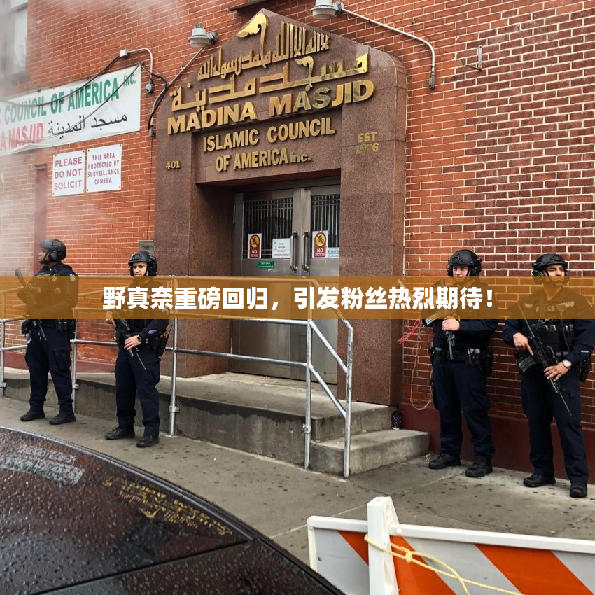 野真奈重磅回归，引发粉丝热烈期待！