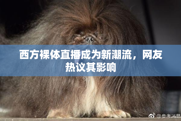 西方裸体直播成为新潮流，网友热议其影响