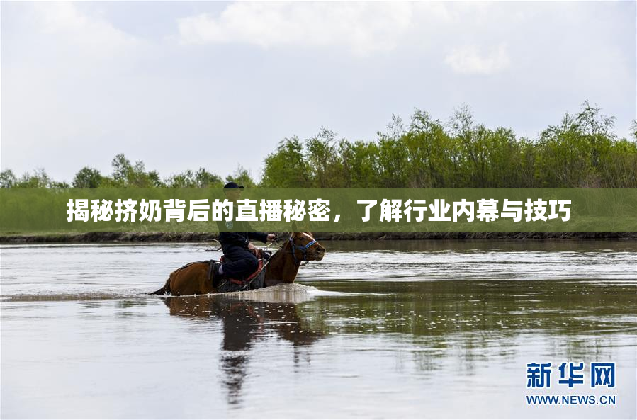 揭秘挤奶背后的直播秘密，了解行业内幕与技巧