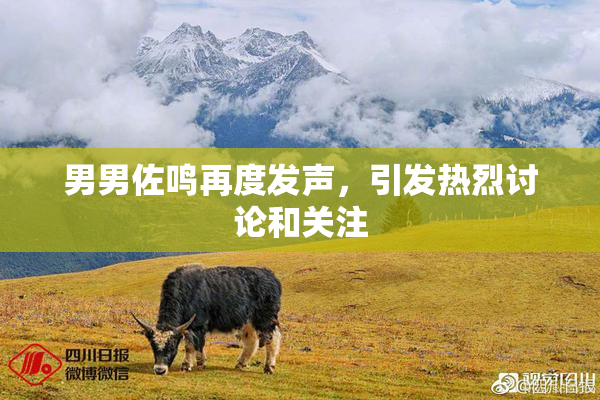 男男佐鸣再度发声，引发热烈讨论和关注