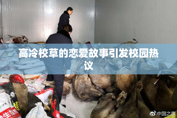 高冷校草的恋爱故事引发校园热议