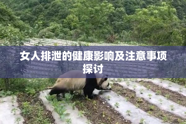 女人排泄的健康影响及注意事项探讨
