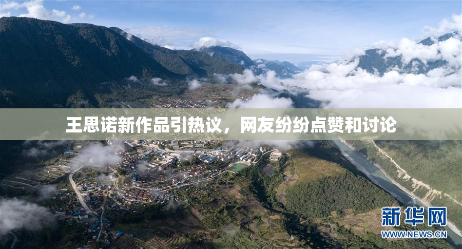 王思诺新作品引热议，网友纷纷点赞和讨论