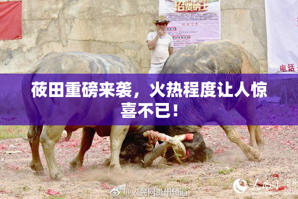 莜田重磅来袭，火热程度让人惊喜不已！
