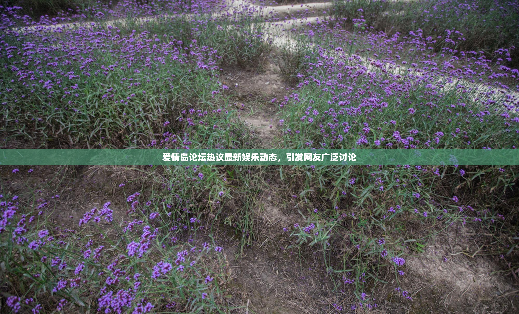 爱情岛论坛热议最新娱乐动态，引发网友广泛讨论