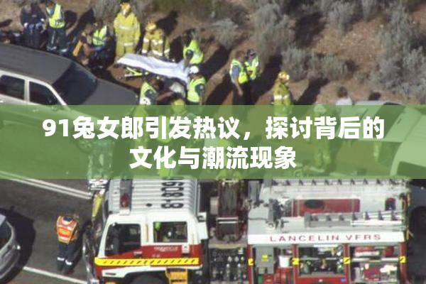 91兔女郎引发热议，探讨背后的文化与潮流现象