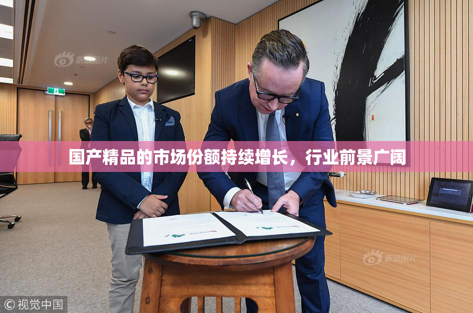 国产精品的市场份额持续增长，行业前景广阔