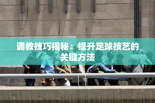 调教技巧揭秘：提升足球技艺的关键方法