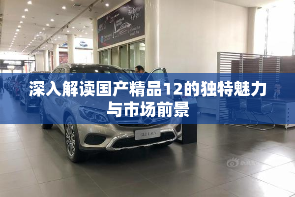 深入解读国产精品12的独特魅力与市场前景