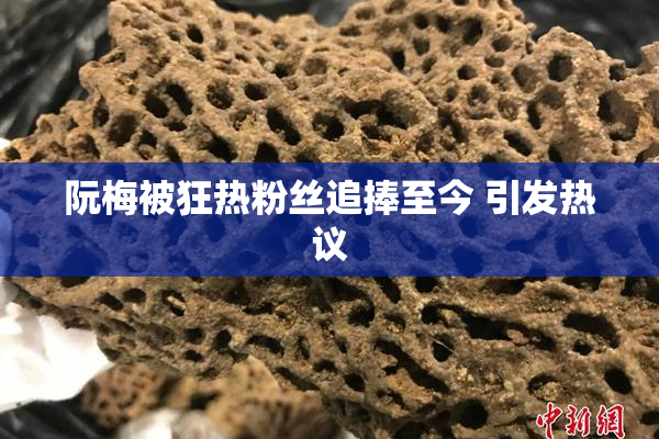 阮梅被狂热粉丝追捧至今 引发热议
