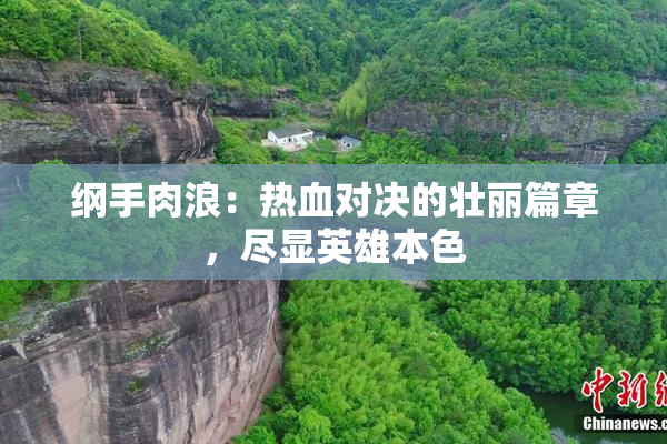 纲手肉浪：热血对决的壮丽篇章，尽显英雄本色