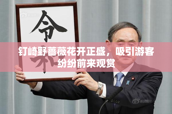 钉崎野蔷薇花开正盛，吸引游客纷纷前来观赏