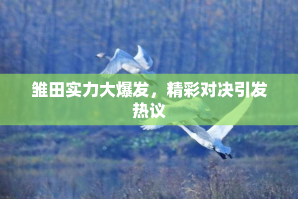 雏田实力大爆发，精彩对决引发热议