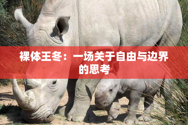 裸体王冬：一场关于自由与边界的思考