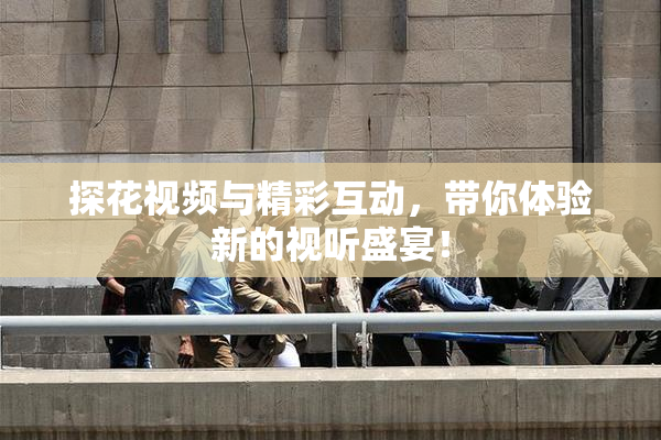 探花视频与精彩互动，带你体验新的视听盛宴！
