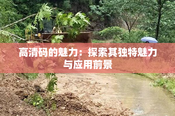 高清码的魅力：探索其独特魅力与应用前景