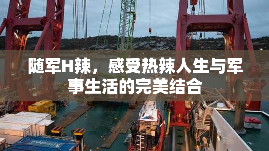 随军H辣，感受热辣人生与军事生活的完美结合
