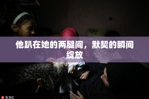 他趴在她的两腿间，默契的瞬间绽放