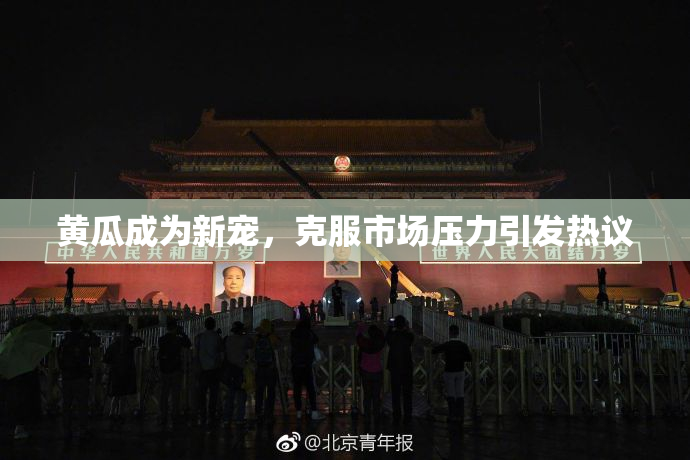 黄瓜成为新宠，克服市场压力引发热议