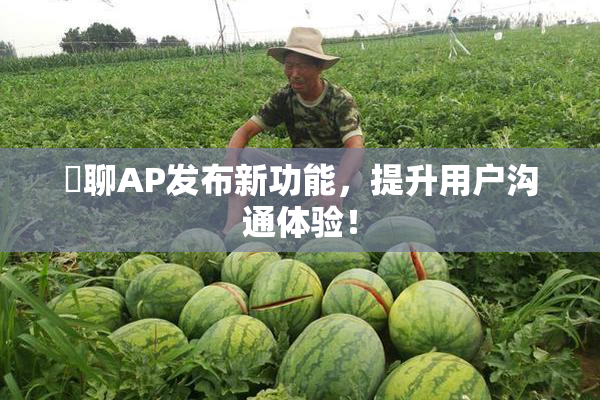 躶聊AP发布新功能，提升用户沟通体验！