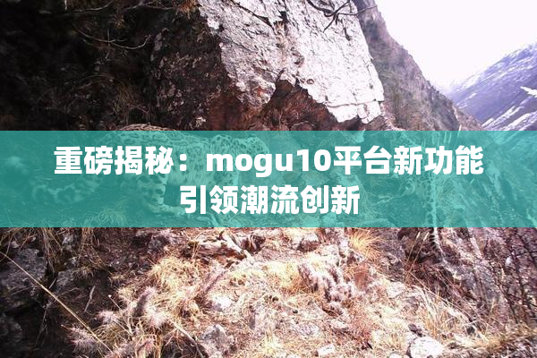 重磅揭秘：mogu10平台新功能引领潮流创新