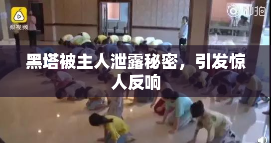 黑塔被主人泄露秘密，引发惊人反响