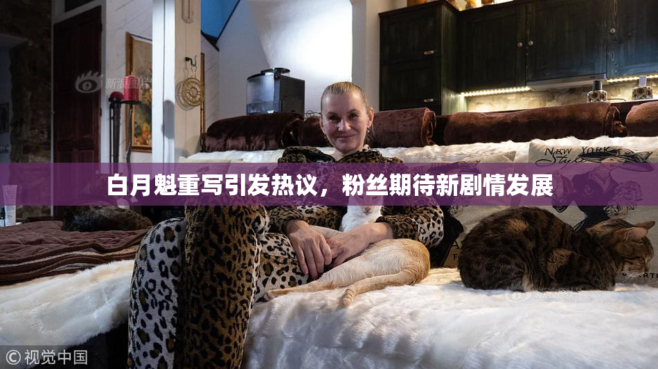 白月魁重写引发热议，粉丝期待新剧情发展