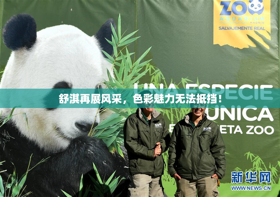 舒淇再展风采，色彩魅力无法抵挡！