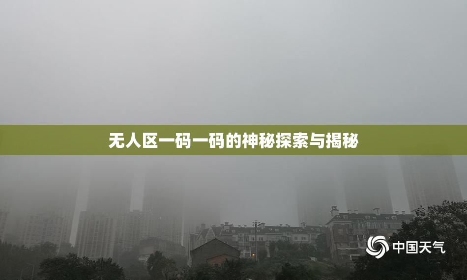 无人区一码一码的神秘探索与揭秘