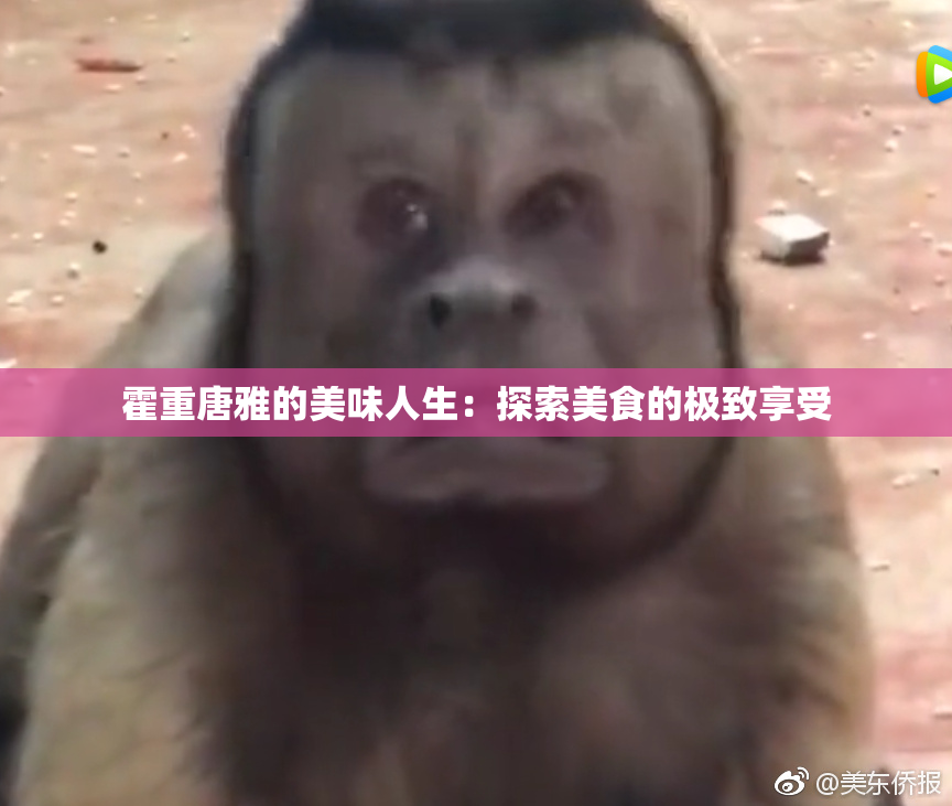 霍重唐雅的美味人生：探索美食的极致享受