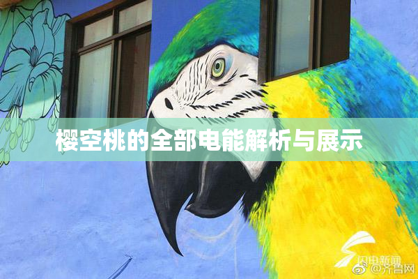 樱空桃的全部电能解析与展示