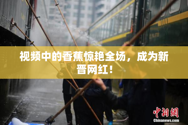 视频中的香蕉惊艳全场，成为新晋网红！