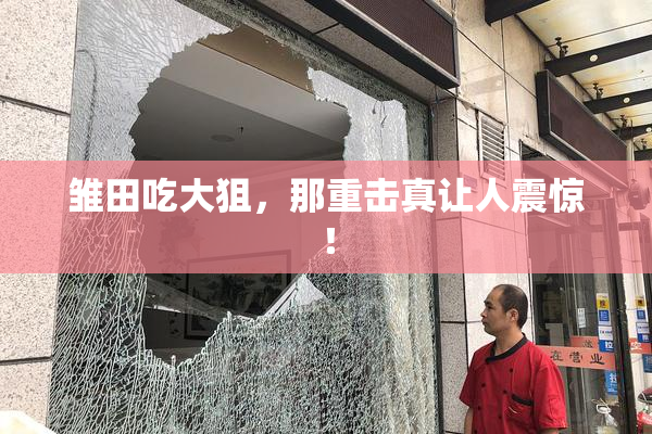 雏田吃大狙，那重击真让人震惊！