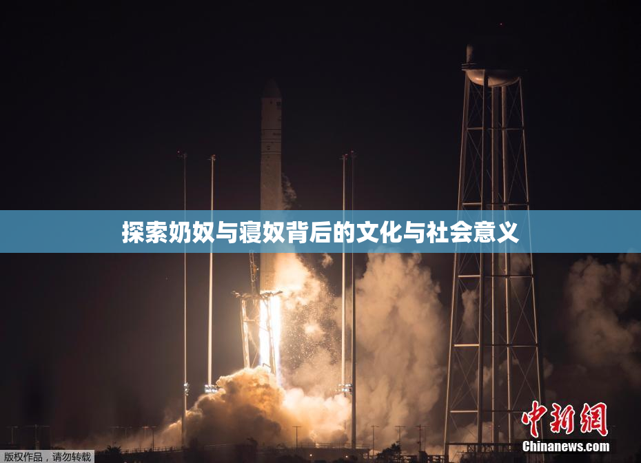 探索奶奴与寝奴背后的文化与社会意义