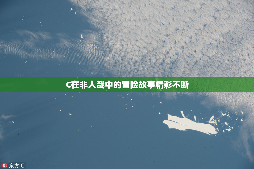 C在非人哉中的冒险故事精彩不断