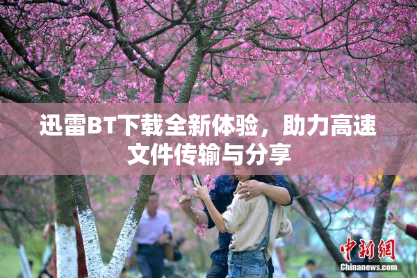 迅雷BT下载全新体验，助力高速文件传输与分享