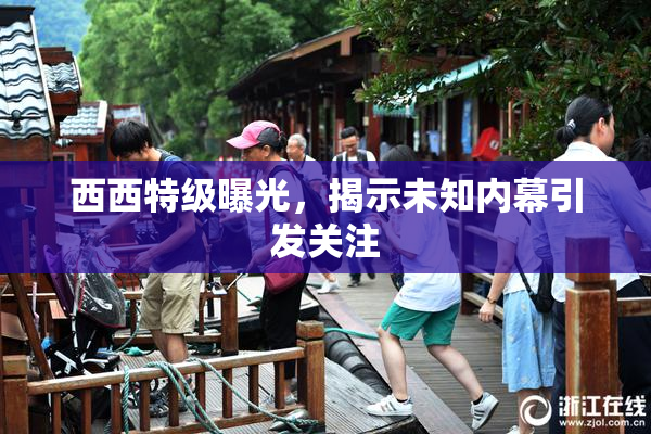 西西特级曝光，揭示未知内幕引发关注