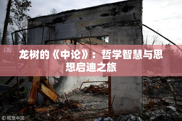 龙树的《中论》：哲学智慧与思想启迪之旅