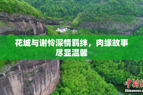花城与谢怜深情羁绊，肉缘故事尽显温馨
