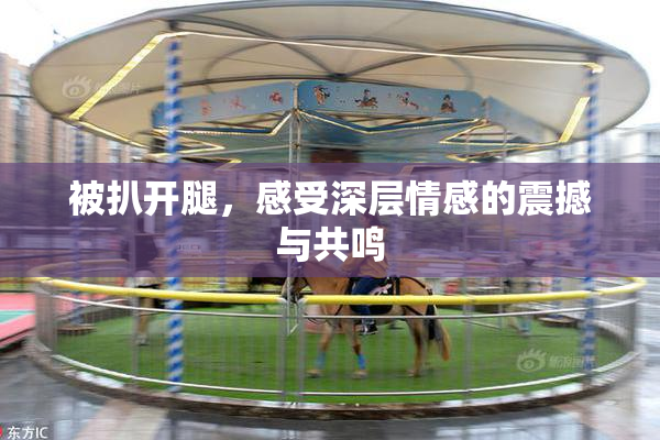 被扒开腿，感受深层情感的震撼与共鸣