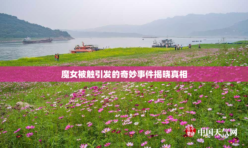 魔女被触引发的奇妙事件揭晓真相