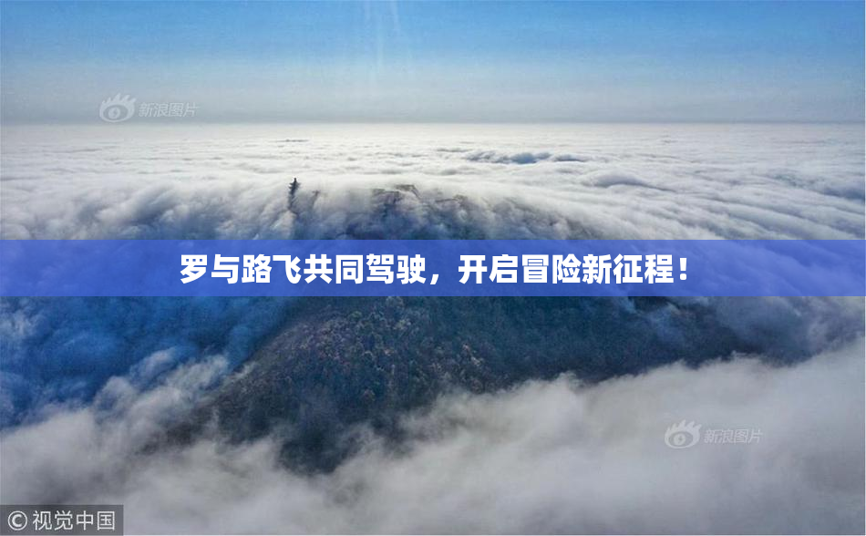 罗与路飞共同驾驶，开启冒险新征程！