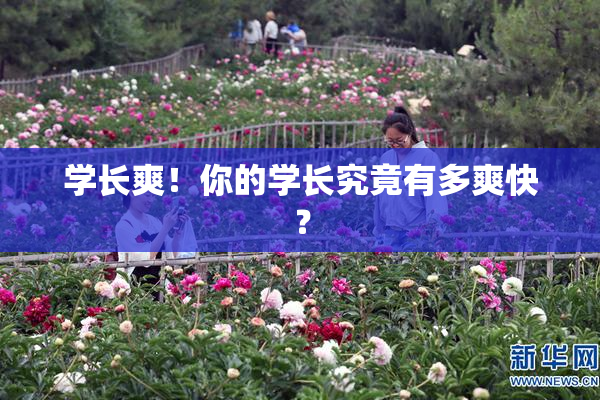 学长爽！你的学长究竟有多爽快？