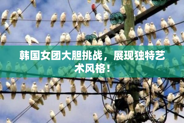 韩国女团大胆挑战，展现独特艺术风格！