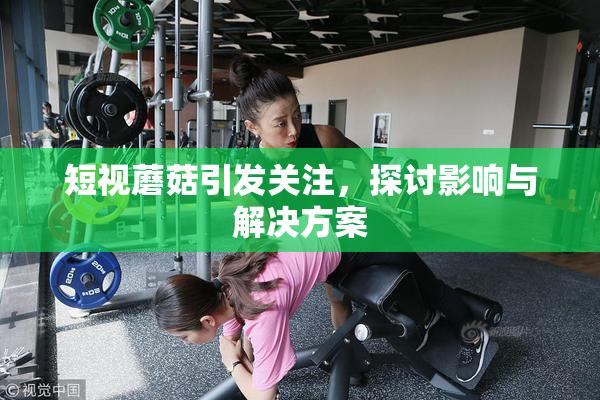 短视蘑菇引发关注，探讨影响与解决方案