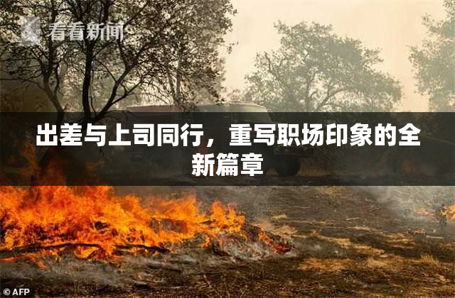 出差与上司同行，重写职场印象的全新篇章